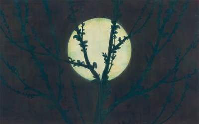 work_image_A tree with the street lamp_Minji Ryu